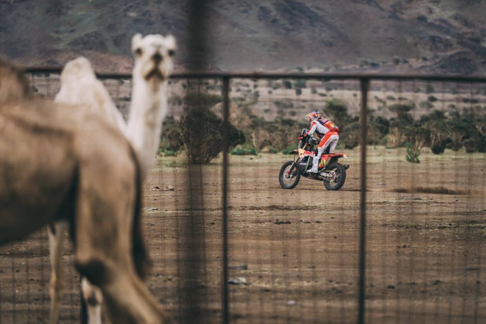 2023 Dakar Rally Stage Two Highlights Results Swapmoto Live